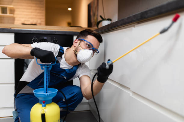 Best Affordable Pest Control Services  in Irvington, KY